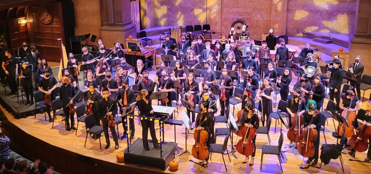 Photo of Sinfonia performing on stage