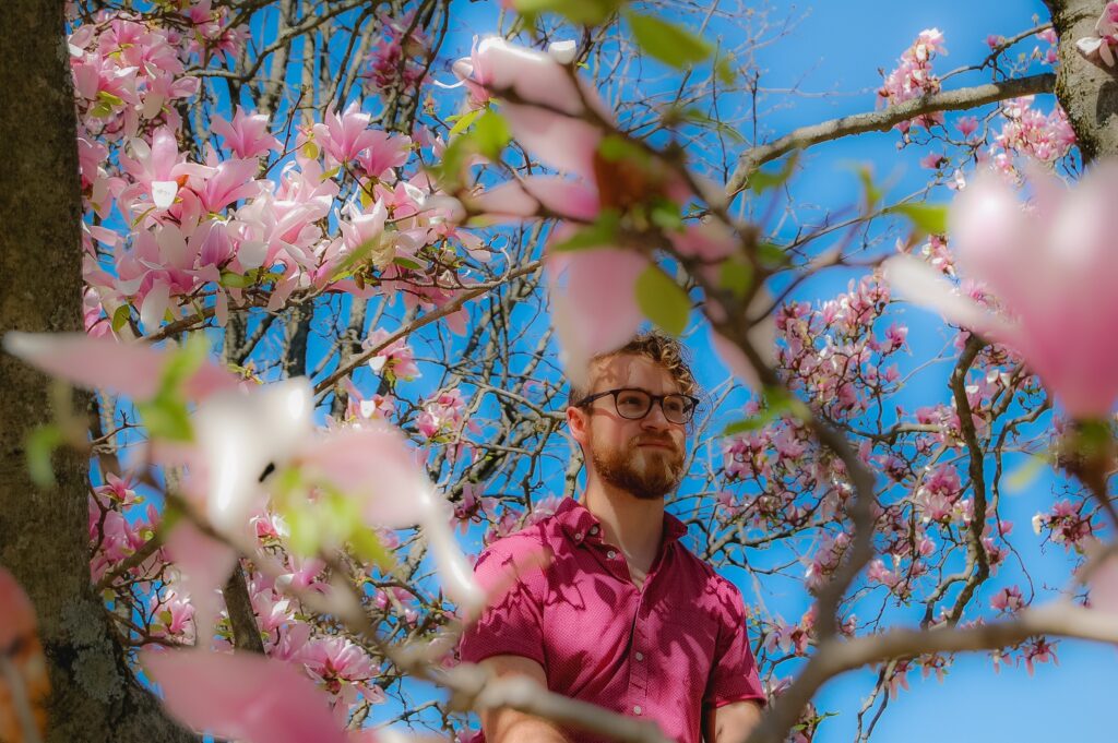 A person with a pink shirt standing amongst a bloomed tree