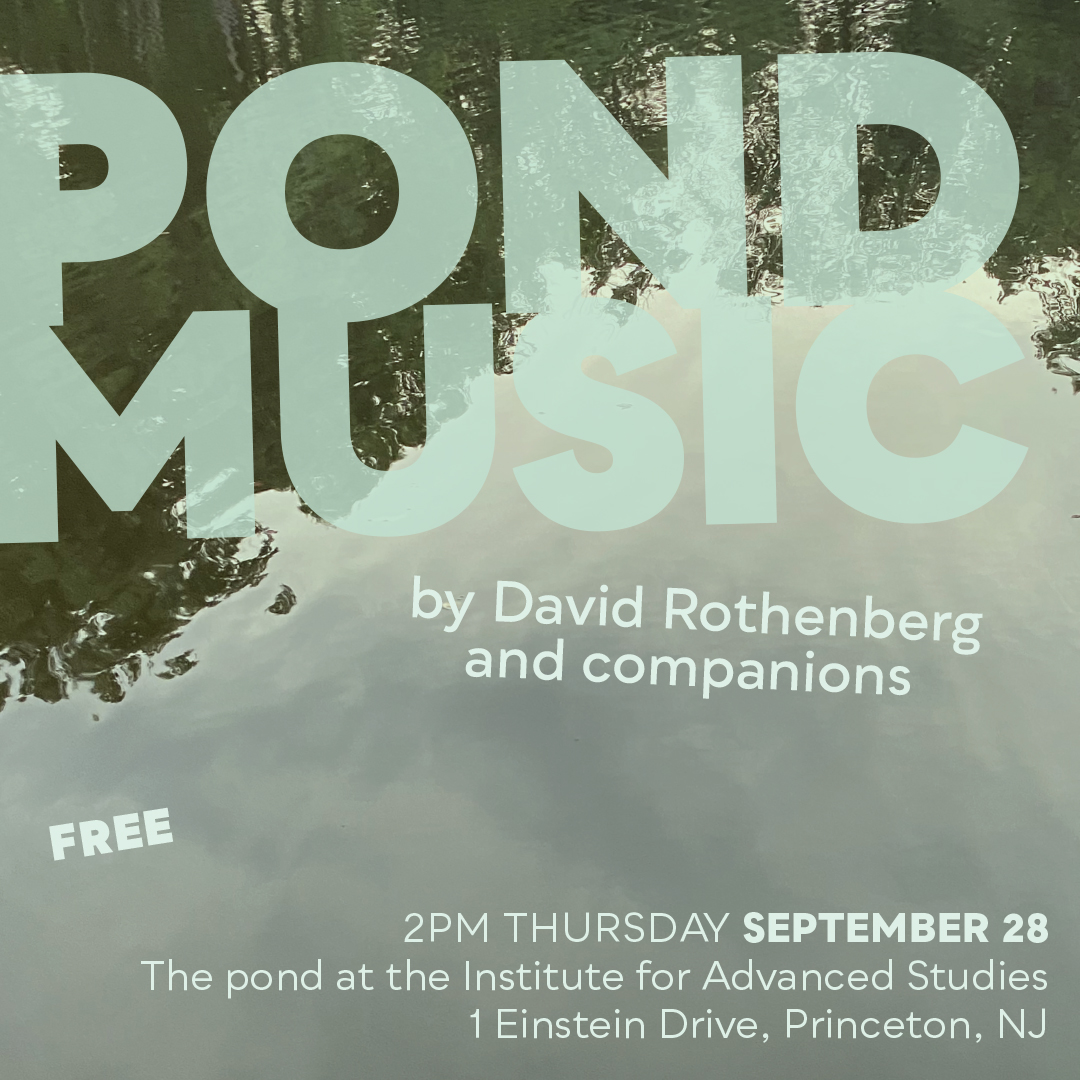 Background of a pond with the words Pond Music in bold