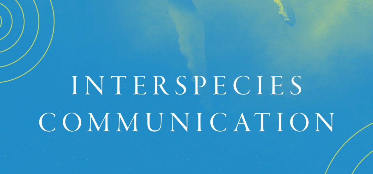 Interspecies Communication cover